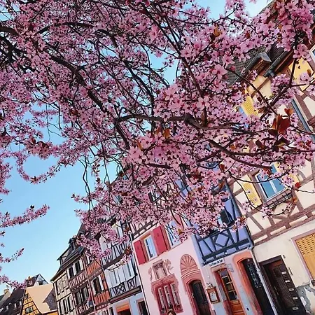 L'europe Colmar, Bw Signature Collection Hotel