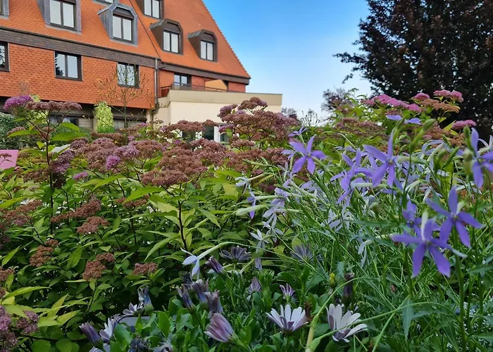 L'europe Colmar, Bw Signature Collection Hotel Horbourg-Wihr