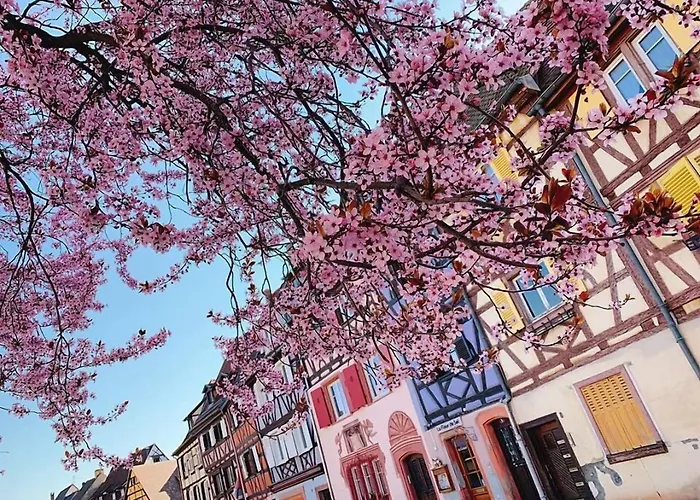 L'europe Colmar, Bw Signature Collection Hotel